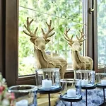 Seefelderin - Boutiquehotel St. Georg Hotel Seefeld in Tirol