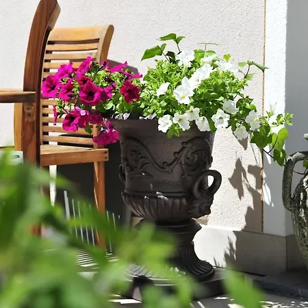 Szálloda Seefelderin - Boutiquehotel St. Georg 4*
